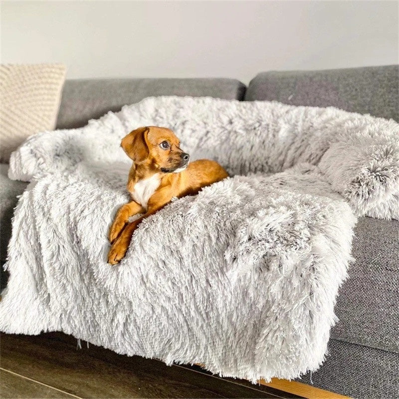 Pet Care