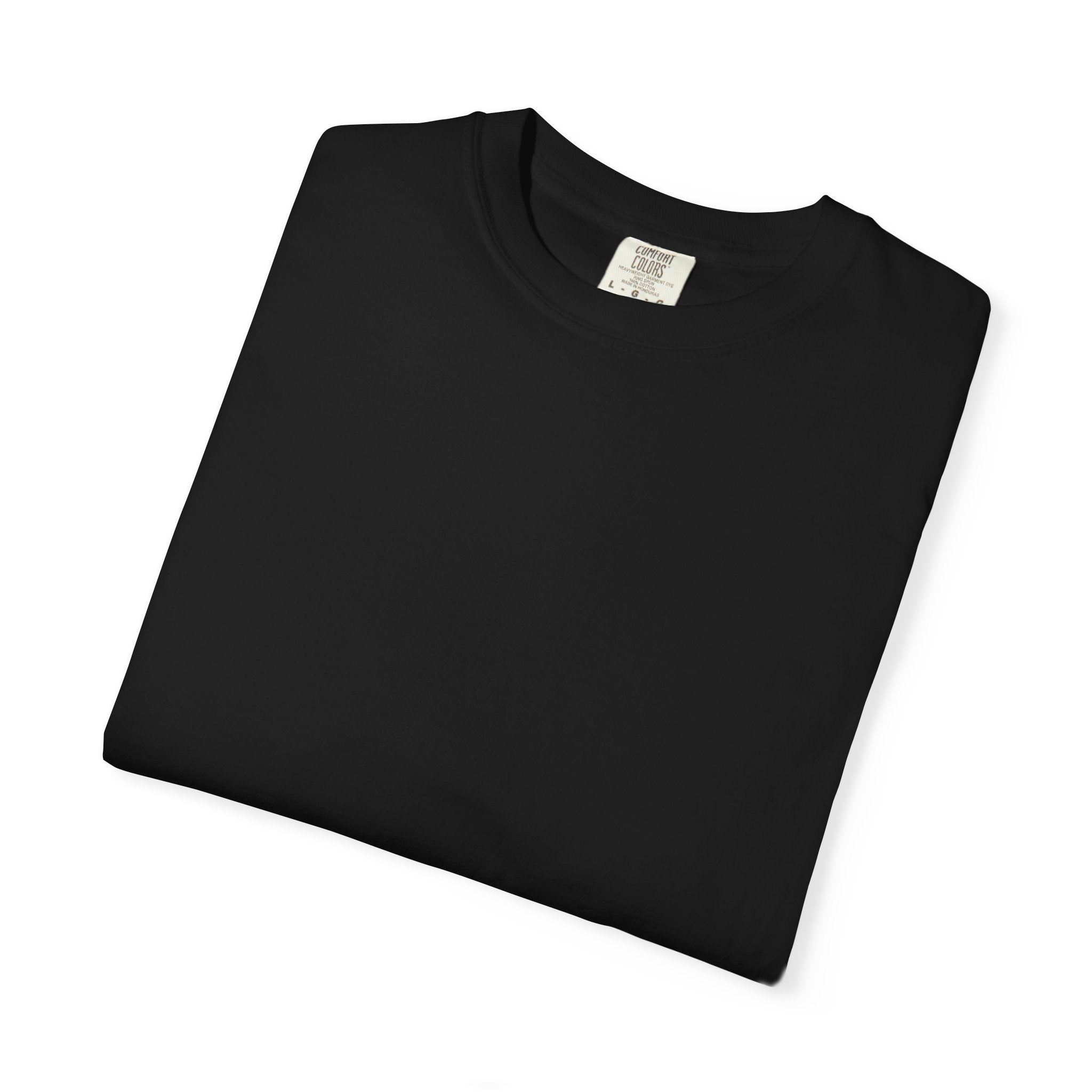 T-Shirt — "The Harshness in the Beauty" Desert Sunset Graphic Tee