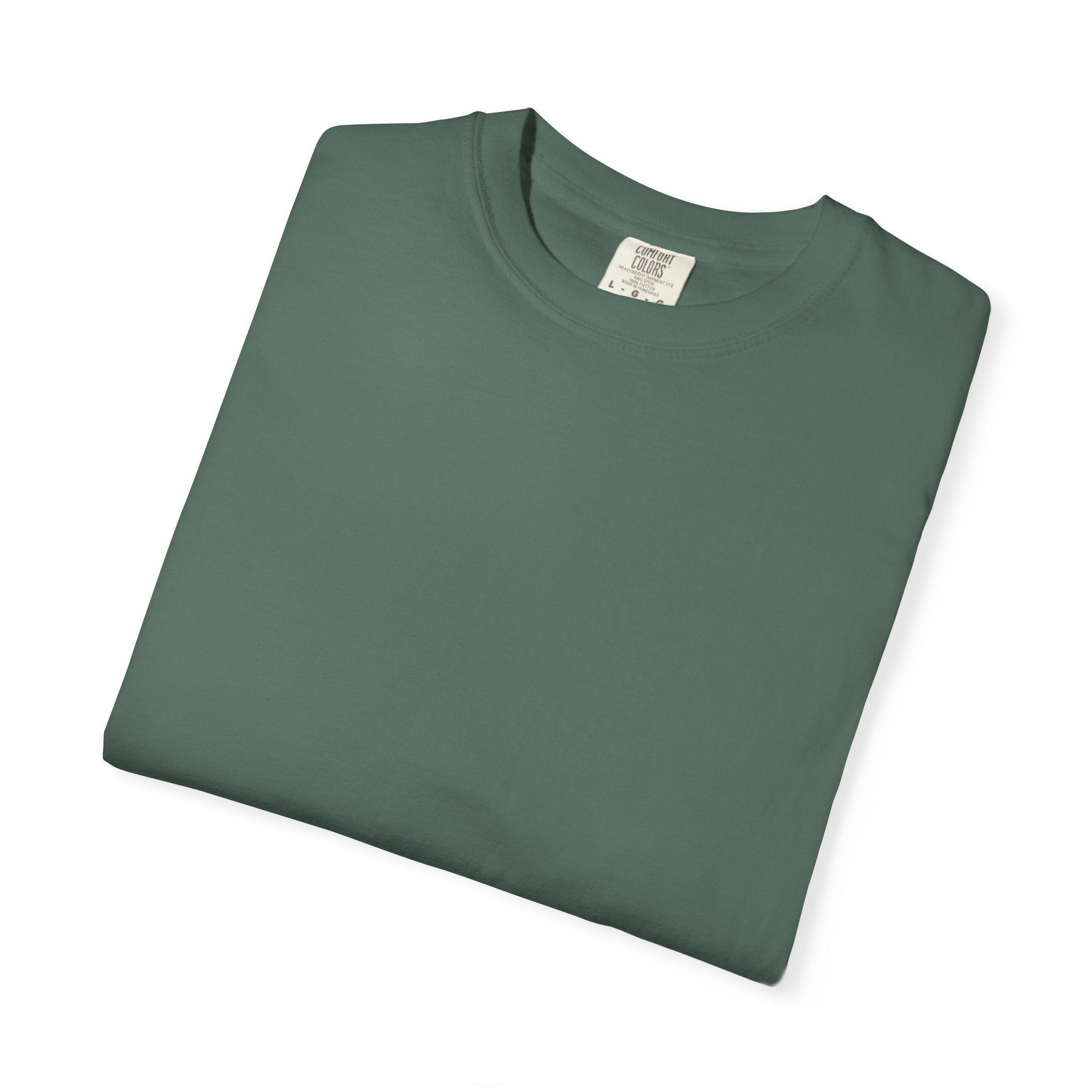 T-Shirt — "The Harshness in the Beauty" Desert Sunset Graphic Tee