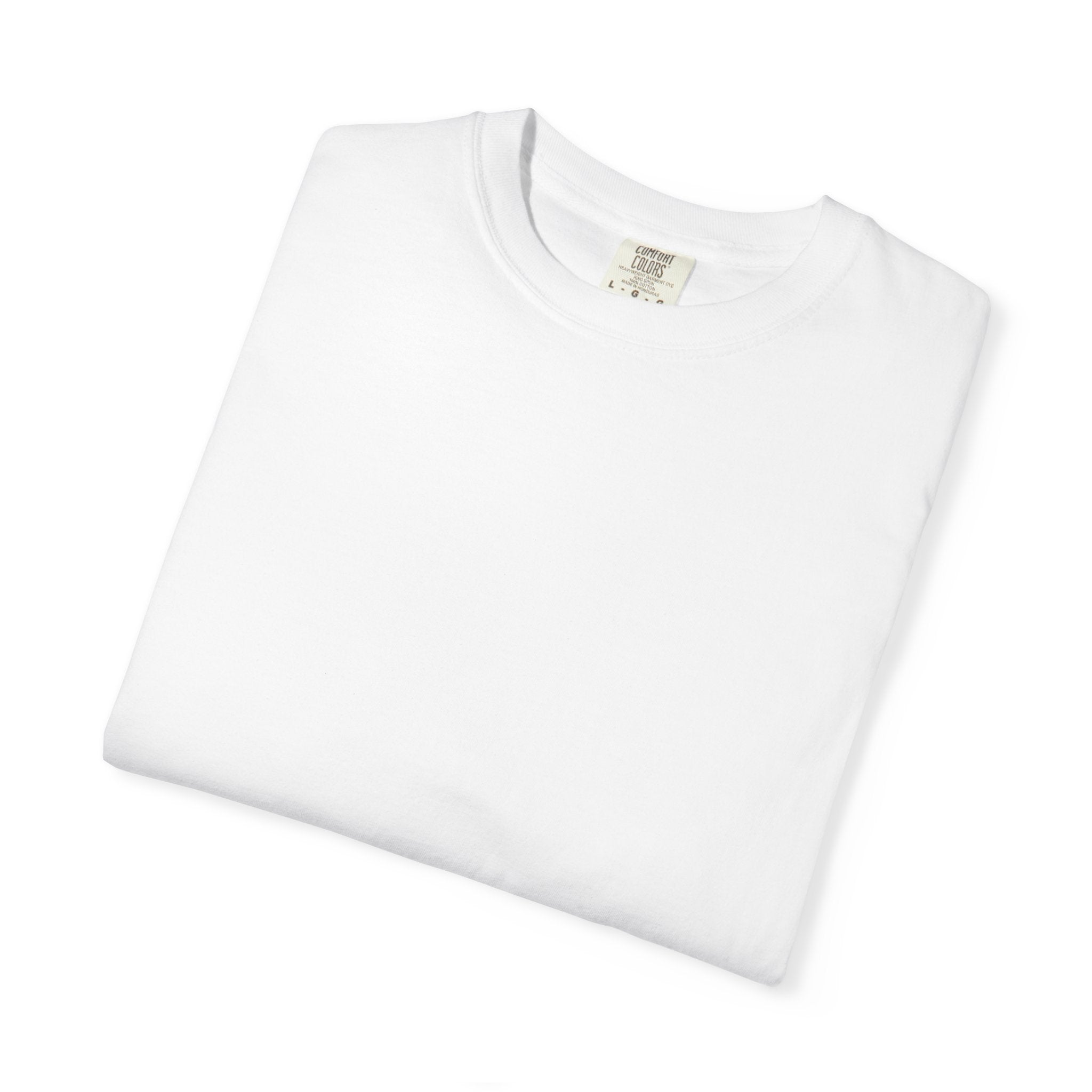 T-Shirt — "The Harshness in the Beauty" Desert Sunset Graphic Tee