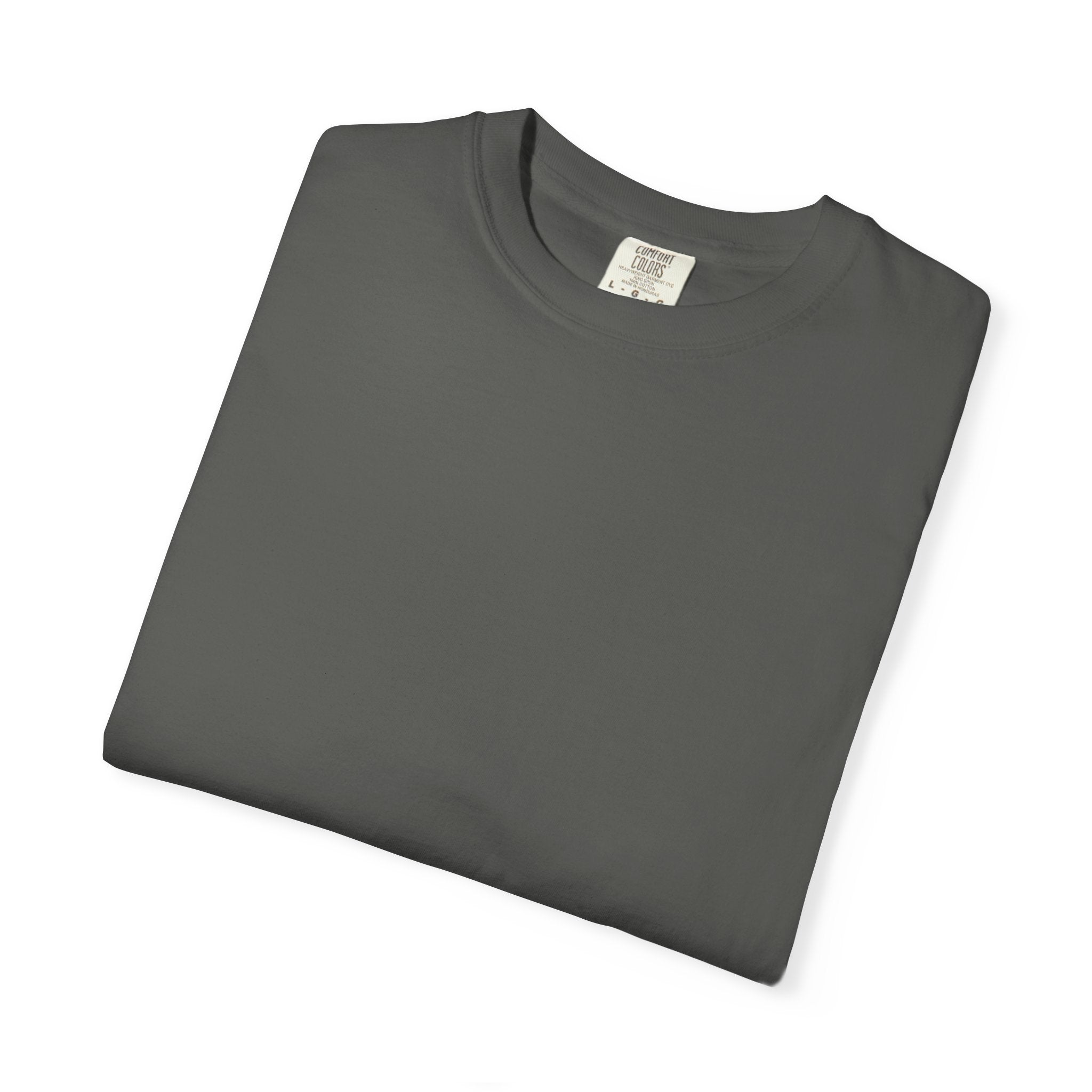 T-Shirt — "The Harshness in the Beauty" Desert Sunset Graphic Tee