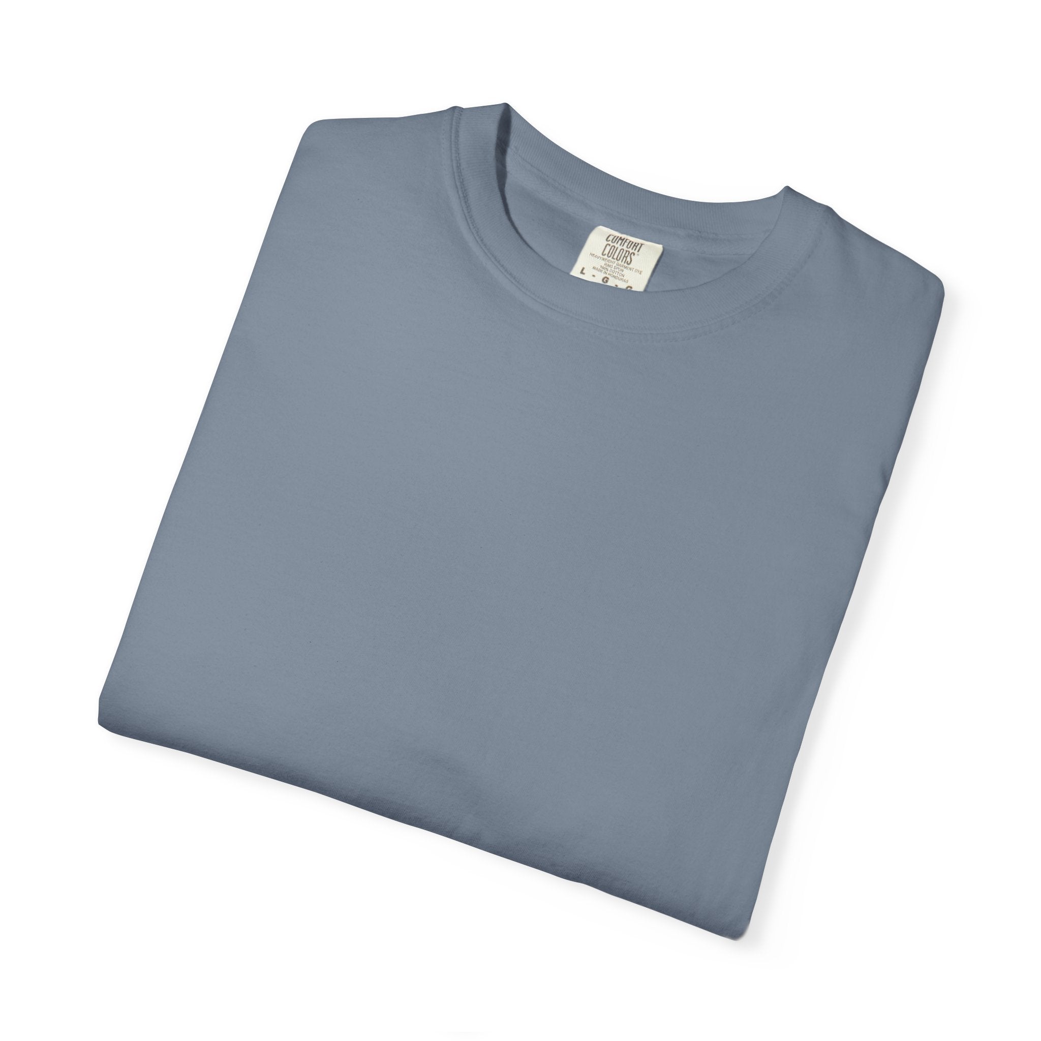 T-Shirt — "The Harshness in the Beauty" Desert Sunset Graphic Tee