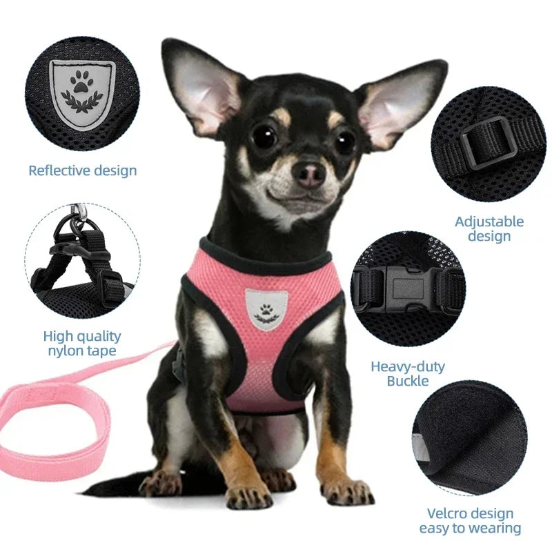 Cat Harness Vest & Leash | Adjustable Breathable Mesh for Small & Medium Pets