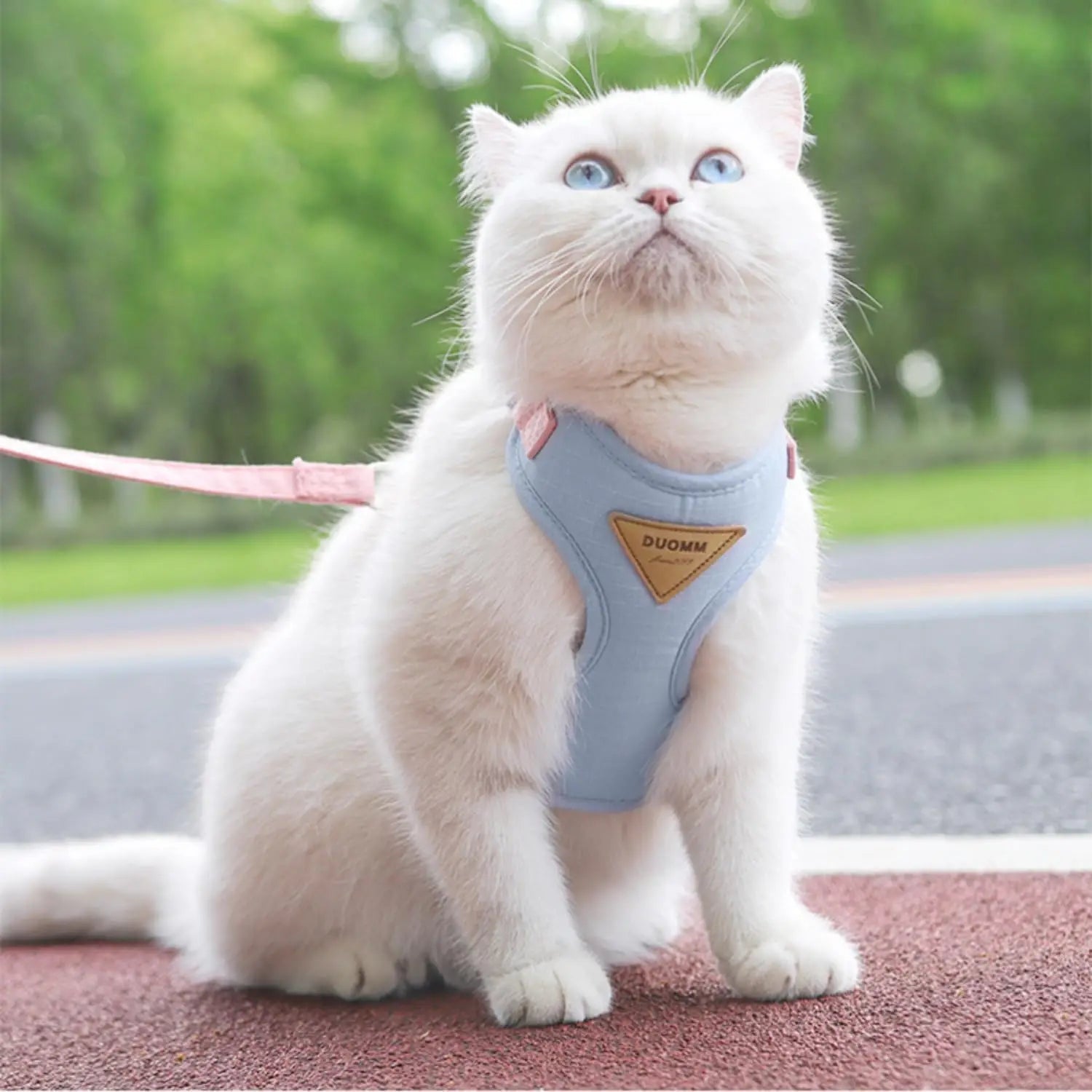 Cat & Puppy Outdoor Harness and Leash Set | Breathable Walking Set for Small Pets