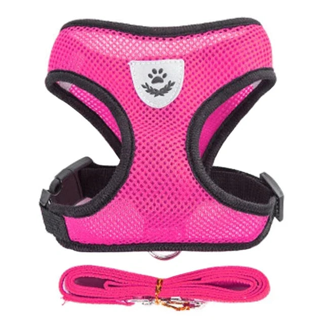 Cat Harness Vest & Leash | Adjustable Breathable Mesh for Small & Medium Pets