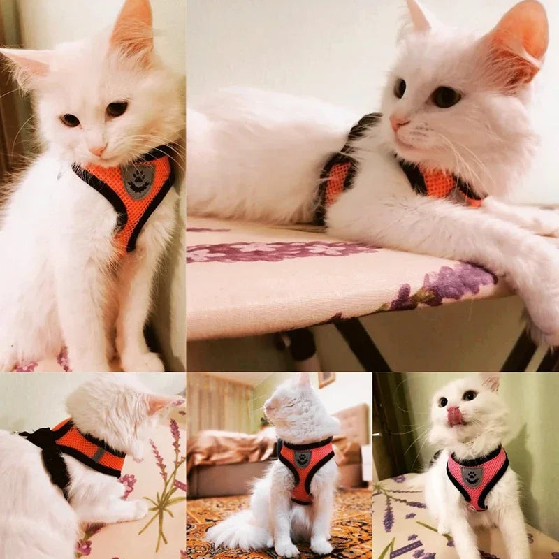 Cat Harness Vest & Leash | Adjustable Breathable Mesh for Small & Medium Pets