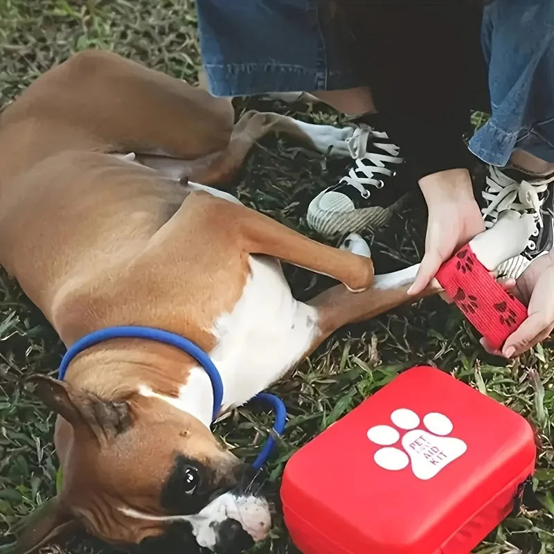 Pet First Aid Kit | Emergency Supplies & Blanket for Hiking, Camping & Travel