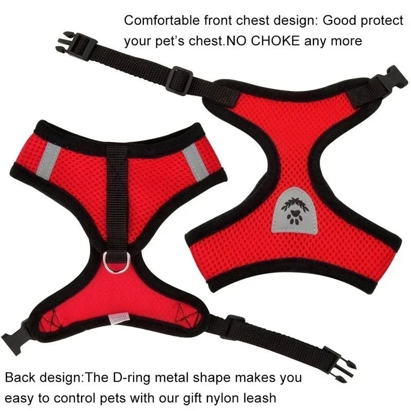 Cat Harness Vest & Leash | Adjustable Breathable Mesh for Small & Medium Pets