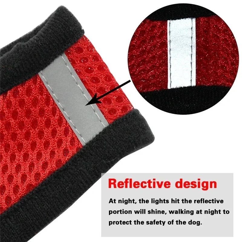 Cat Harness Vest & Leash | Adjustable Breathable Mesh for Small & Medium Pets