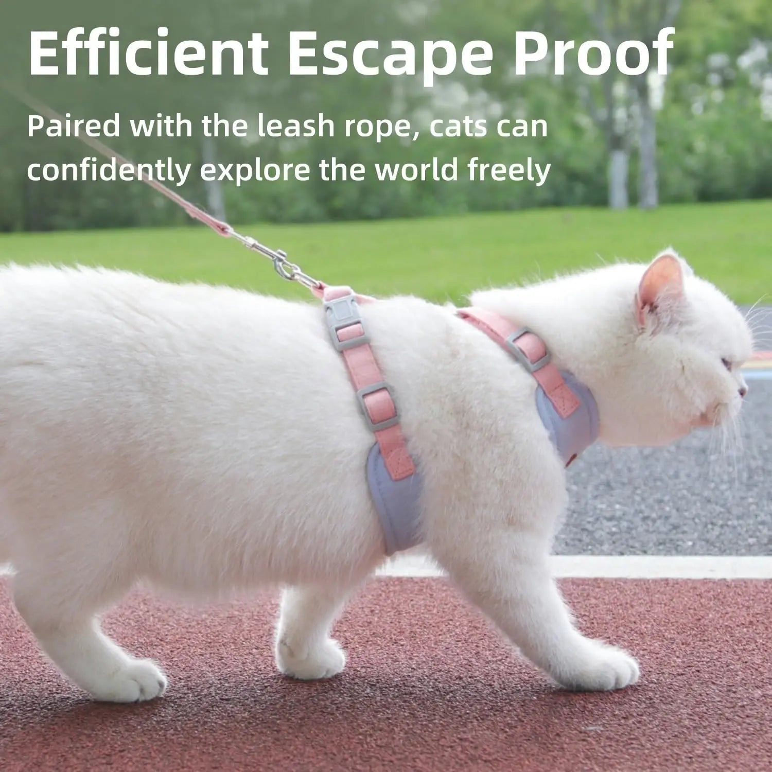 Cat & Puppy Outdoor Harness and Leash Set | Breathable Walking Set for Small Pets