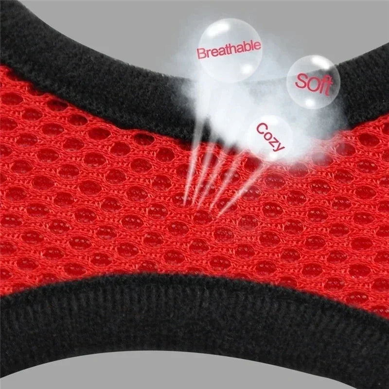 Cat Harness Vest & Leash | Adjustable Breathable Mesh for Small & Medium Pets