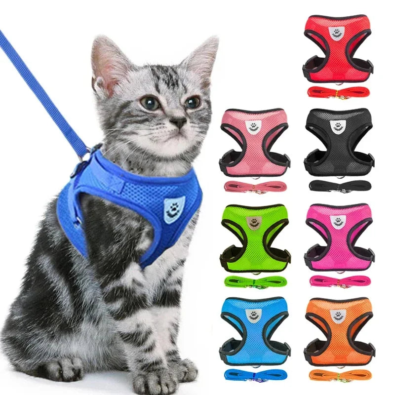 Cat Harness Vest & Leash | Adjustable Breathable Mesh for Small & Medium Pets