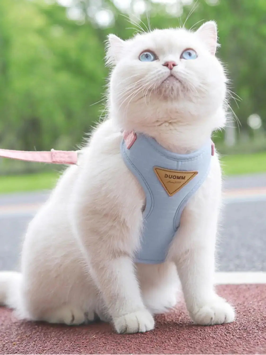 Cat & Puppy Outdoor Harness and Leash Set | Breathable Walking Set for Small Pets
