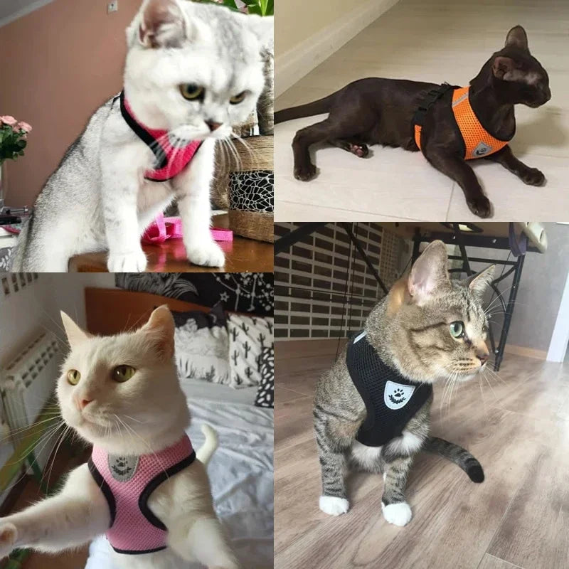 Cat Harness Vest & Leash | Adjustable Breathable Mesh for Small & Medium Pets