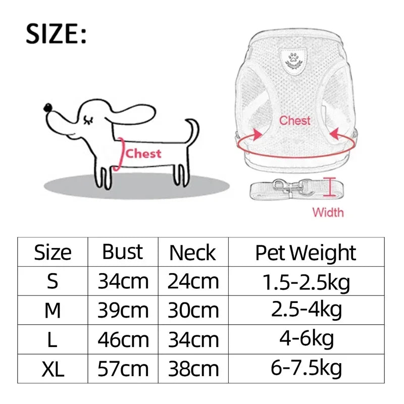 Cat Harness Vest & Leash | Adjustable Breathable Mesh for Small & Medium Pets